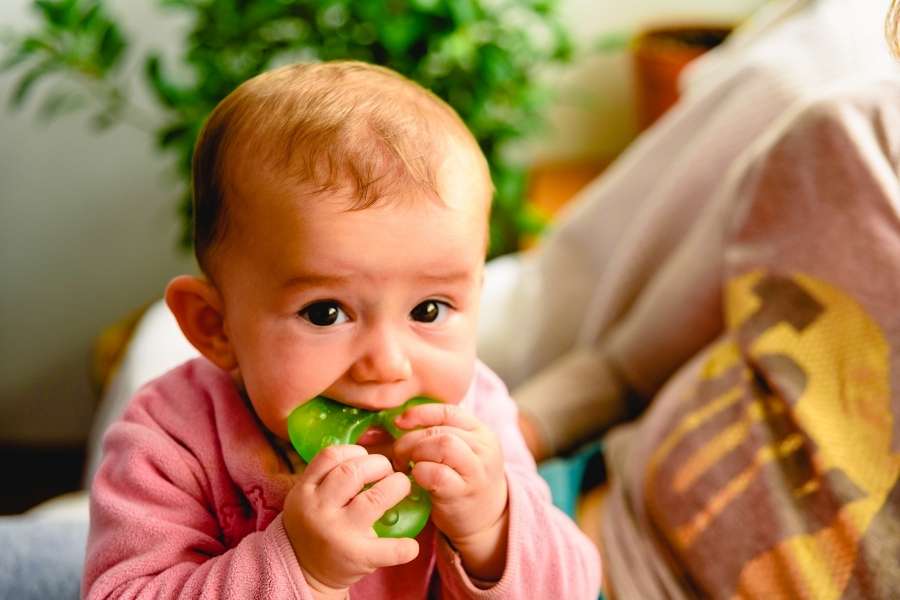 Un bébé mordille un anneau vert pour soulager les poussées dentaires de bébé.